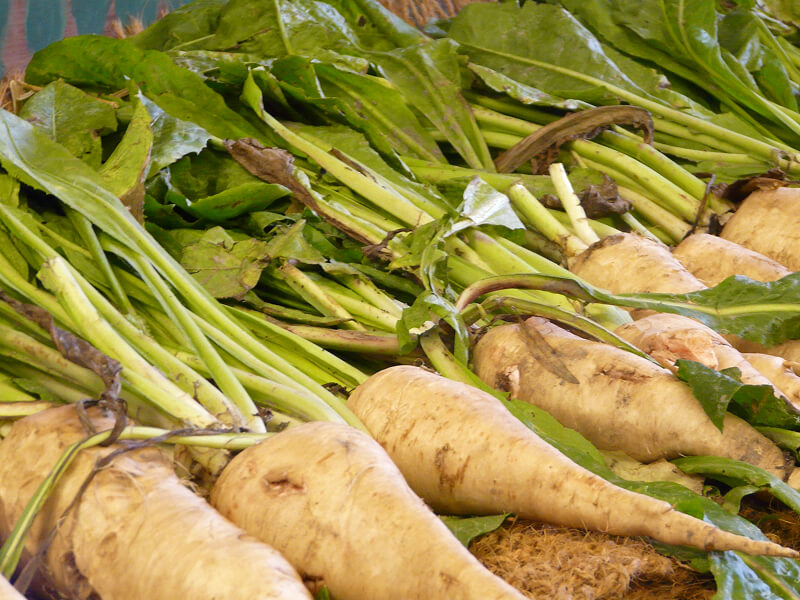 La maison du Platier d'Oye