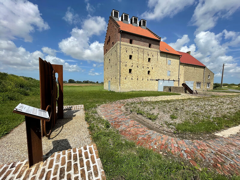 Sécherie à chicorée