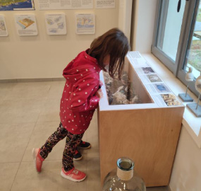 mpoexpo2 Randonnée dans le Platier d'Oye