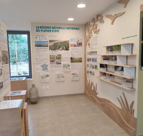 mpoexpo3 Randonnée dans le Platier d'Oye